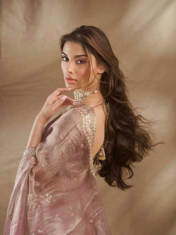 Celestial Champagne Saree