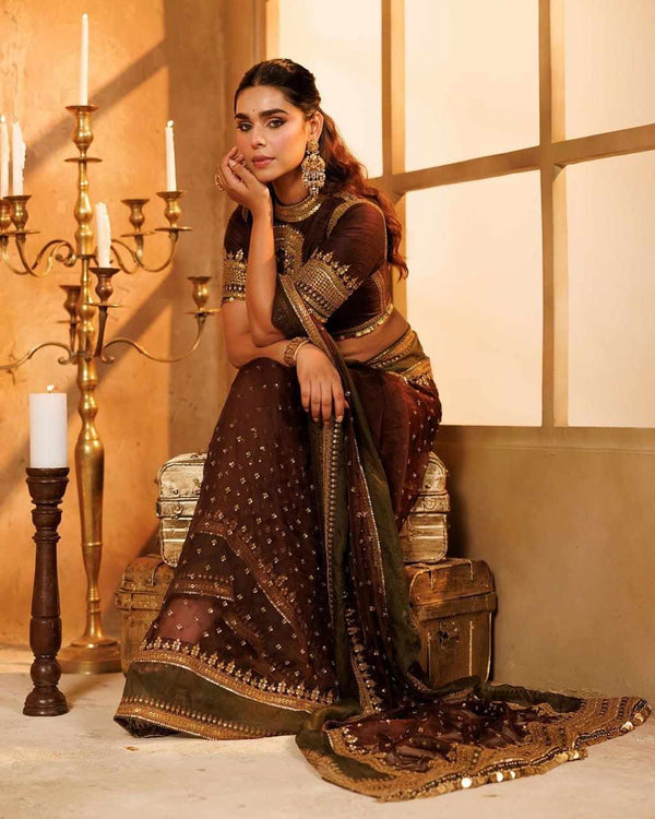 Royal Raisin Elegance Saree