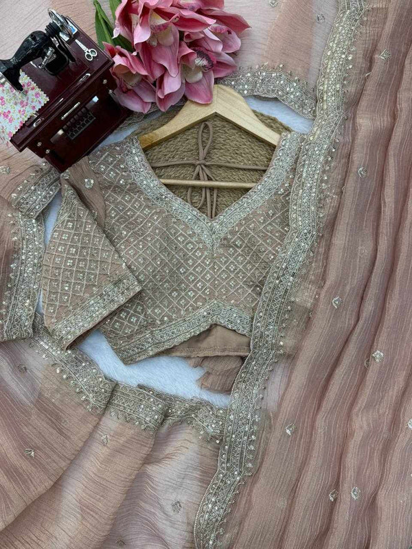 Celestial Champagne Saree