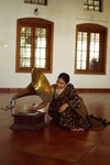Black & Brown Printed Saree for Women | Elegant Ethnic Wear Saree