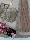 Celestial Champagne Saree