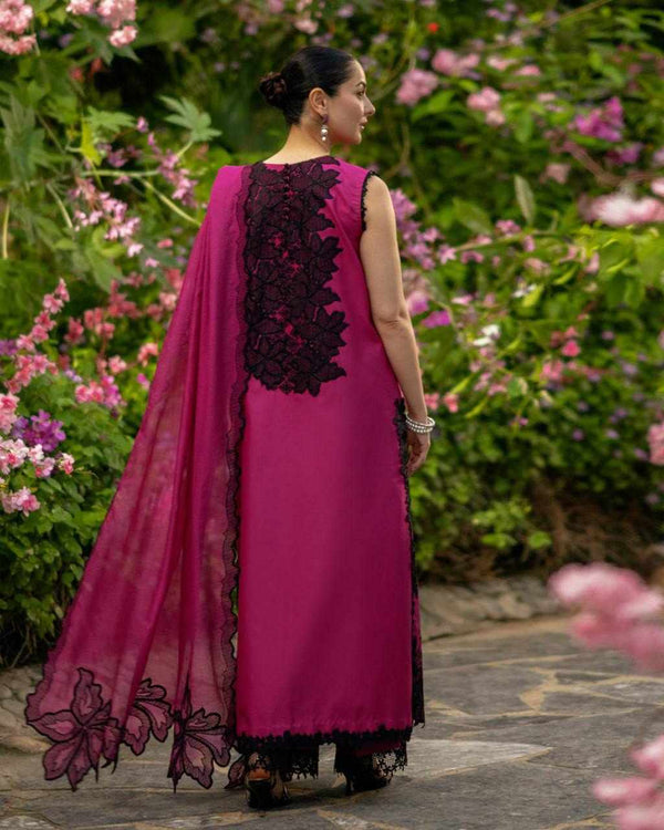 Rani Noir Embroidered Suit
