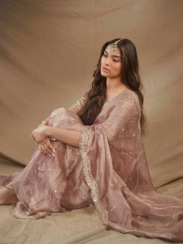 Celestial Champagne Saree